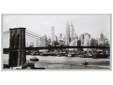 Lower Manhattan & the Bridge
